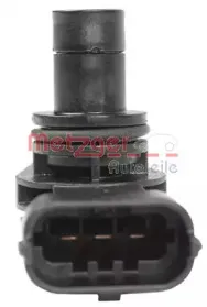 metzger-0903166